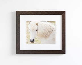 White Horse Picture, Iceland
