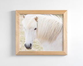 White Horse Picture, Iceland