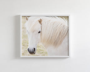 White Horse Picture, Iceland