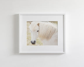 White Horse Picture, Iceland
