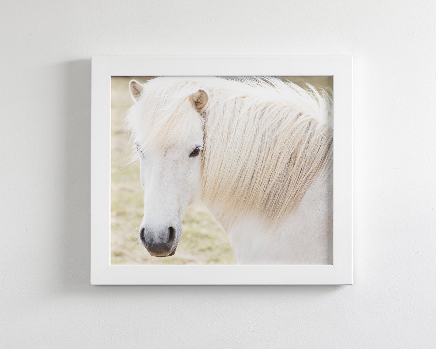 White Horse Picture, Iceland