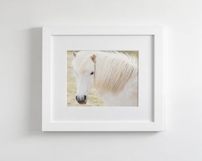 White Horse Picture, Iceland
