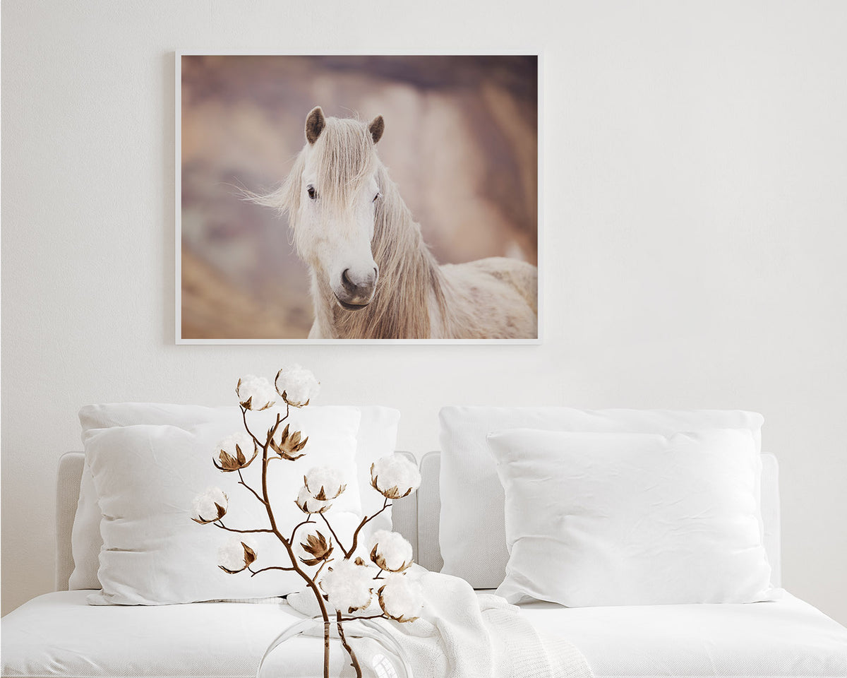 Icelandic White Horse