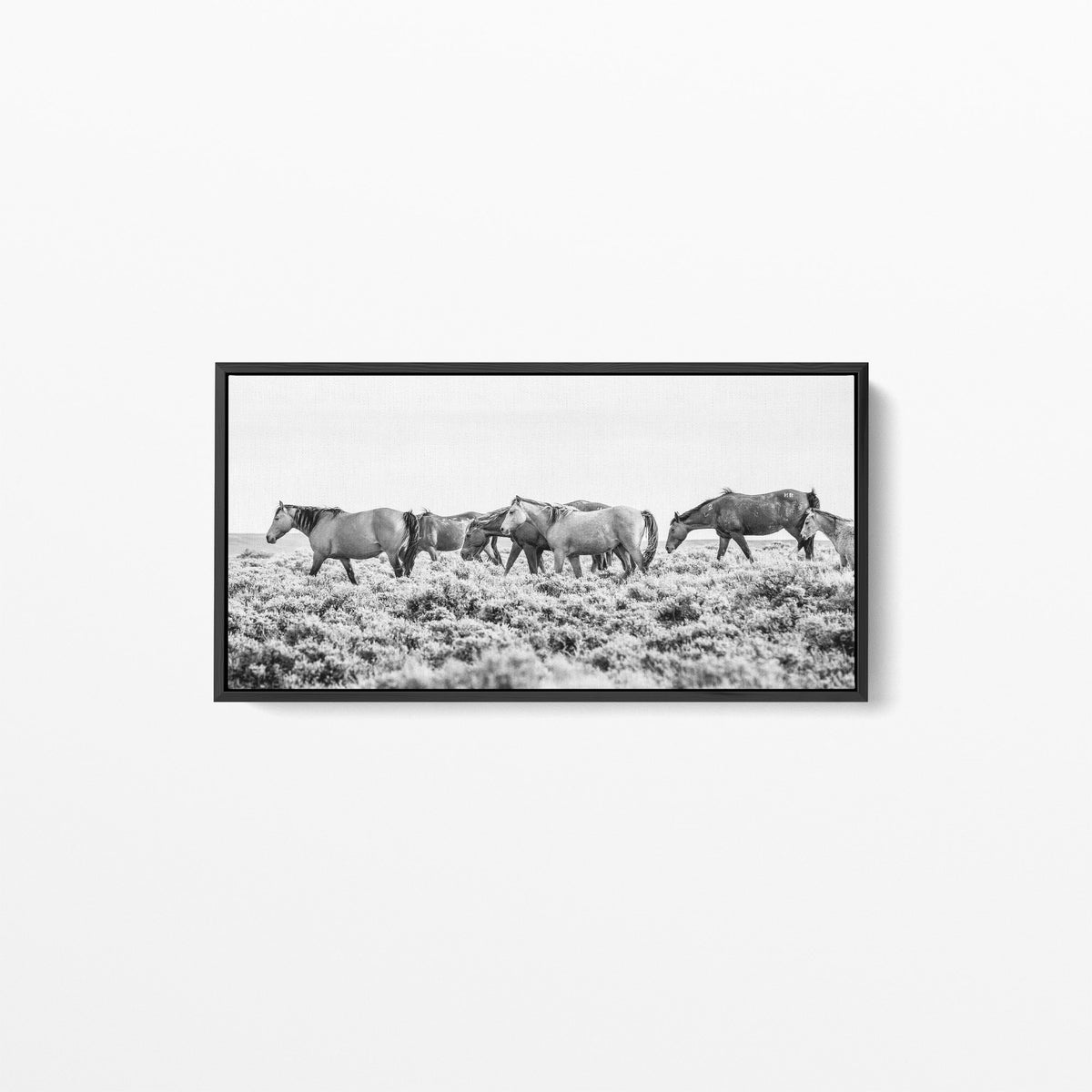 Wild Beauty, 60x25 Canvas Gallery Wrap, In Black Wood Float Frame