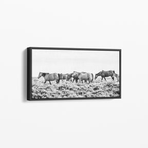 Wild Beauty, 60x25 Canvas Gallery Wrap, In Black Wood Float Frame