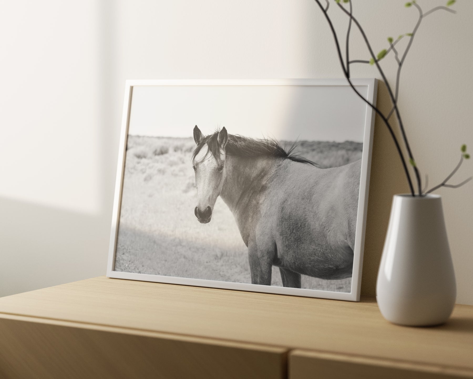Buckskin Colt