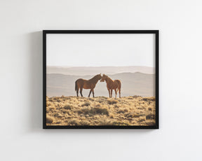 Wild Horse Embrace