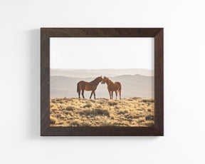 Wild Horse Embrace
