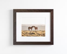 Wild Horse Embrace