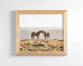 Wild Horse Embrace