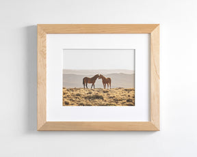 Wild Horse Embrace