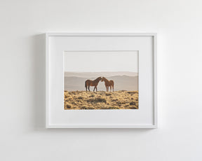 Wild Horse Embrace