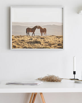 Wild Horse Embrace