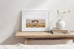 Wild Horse Embrace