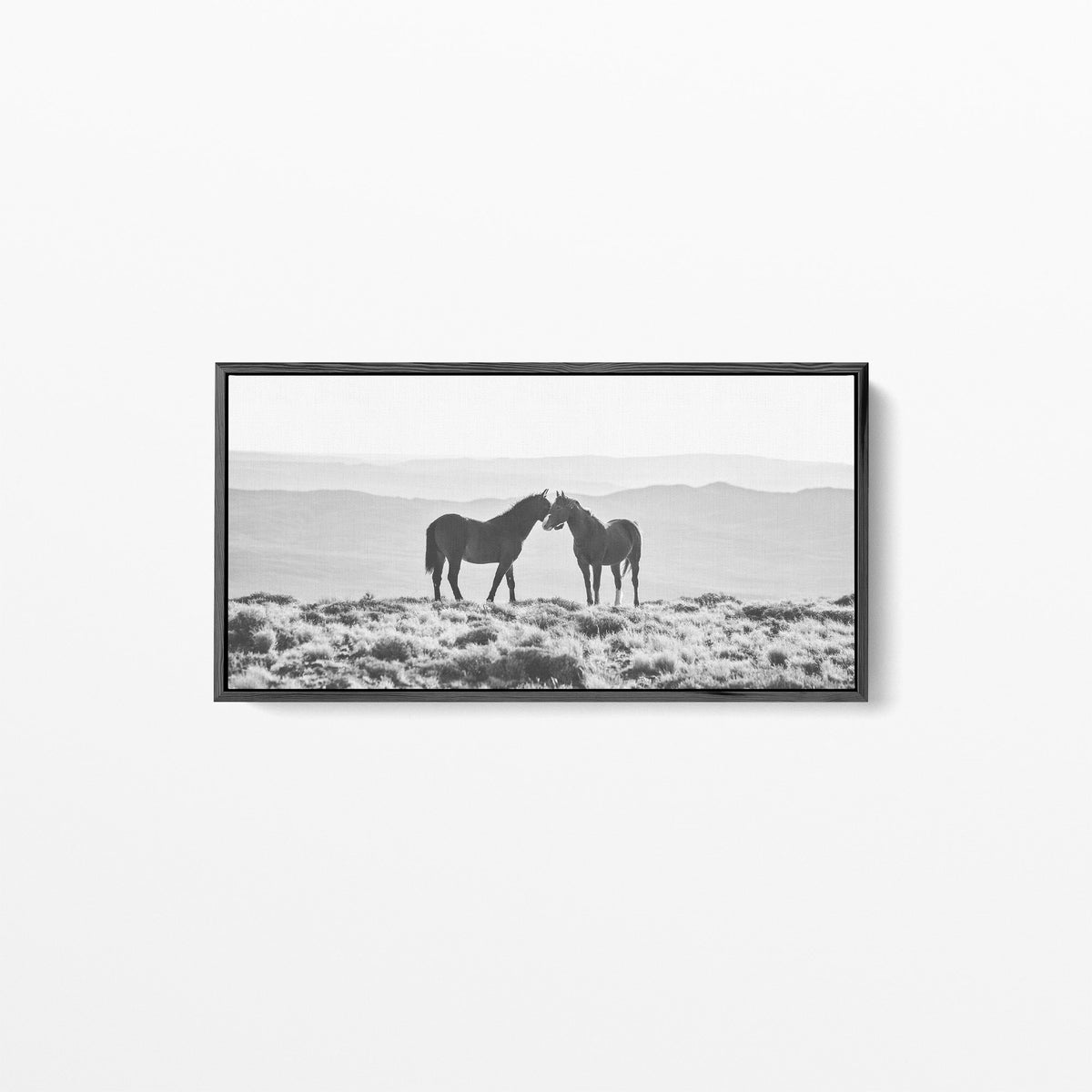 Wild Horse Embrace, 60x25 Canvas Gallery Wrap, In Black Wood Float Frame