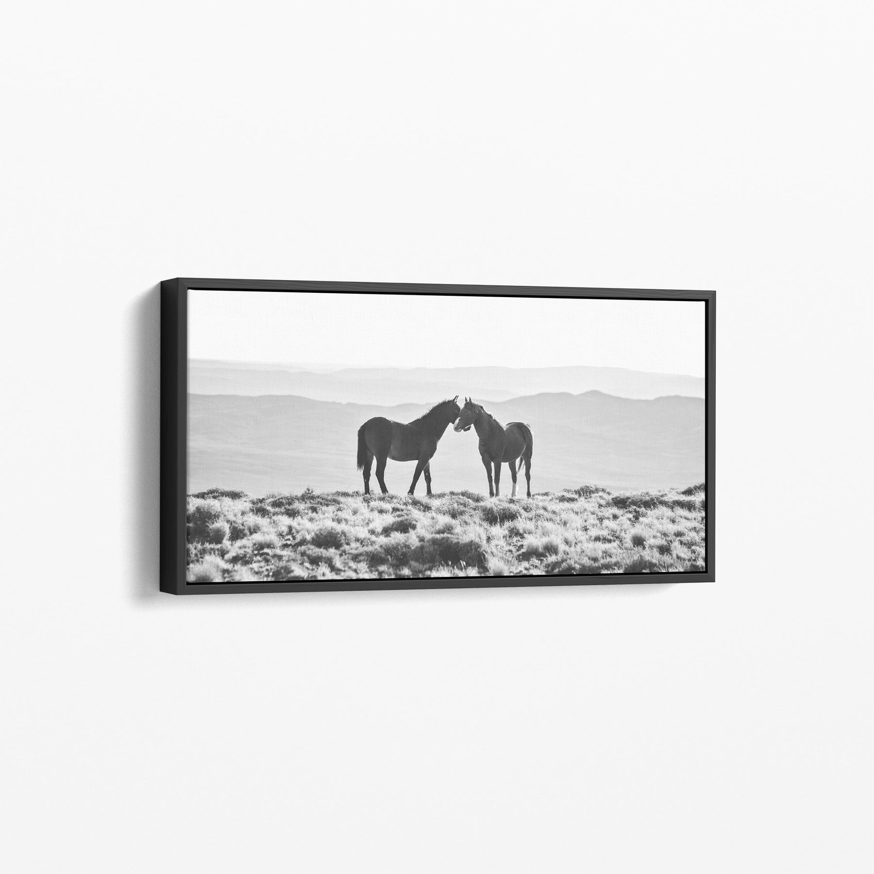 Wild Horse Embrace, 60x25 Canvas Gallery Wrap, In Black Wood Float Frame