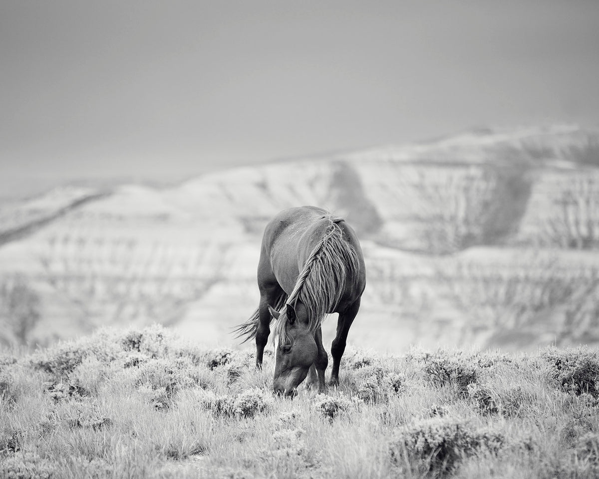 Mountain Meander