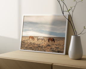 Grazing Horses in Landscape