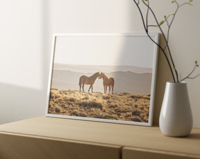 Wild Horse Embrace