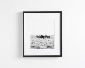 Wild Rest
