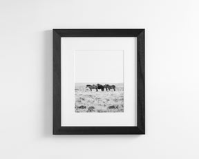 Wild Rest
