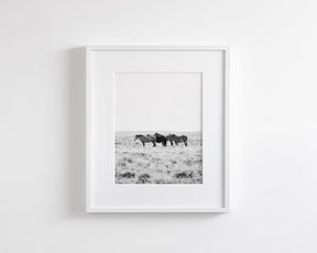 Wild Rest