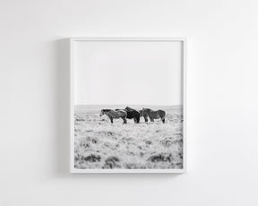 Wild Rest