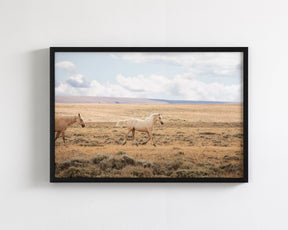 Winsome Palomino