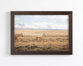 Winsome Palomino