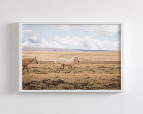 Winsome Palomino