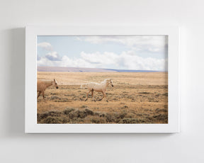 Winsome Palomino