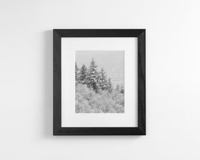 Winter Refresh