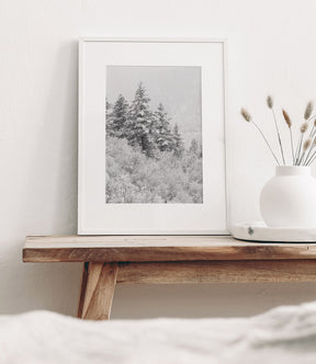 Winter Refresh