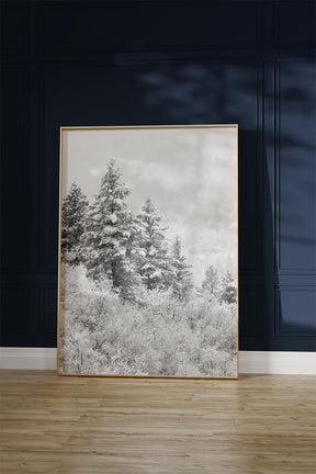 Winter Refresh
