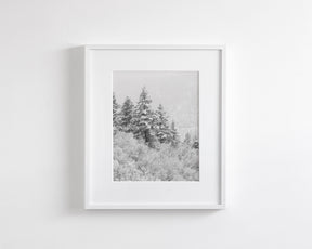 Winter Refresh