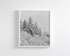 Winter Refresh