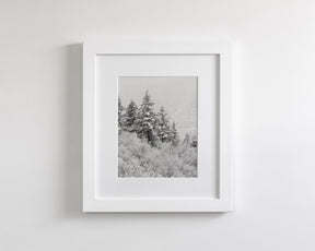 Winter Refresh