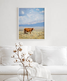 Wyoming Cow