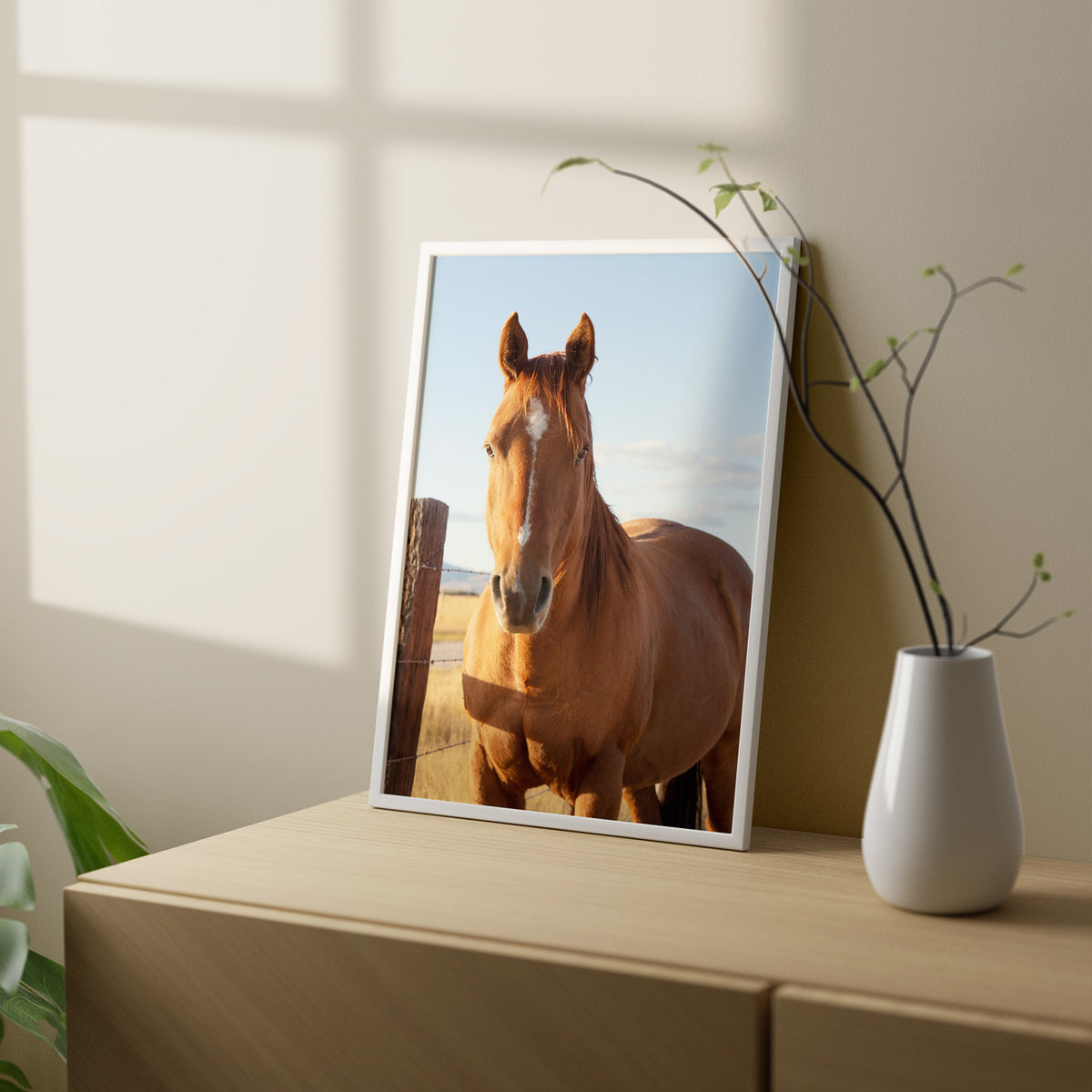 Visiting Horse