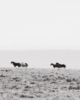 High Country