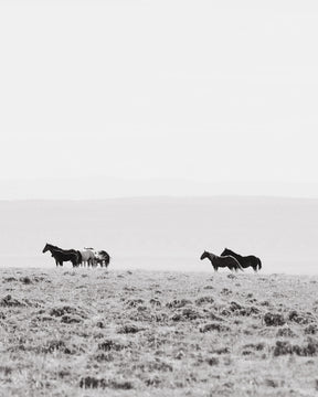 High Country