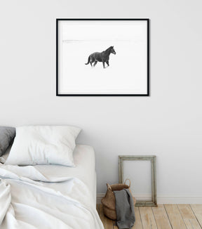Winter Snow Horse