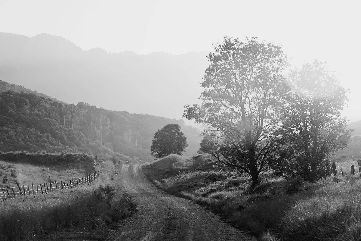 Country Road