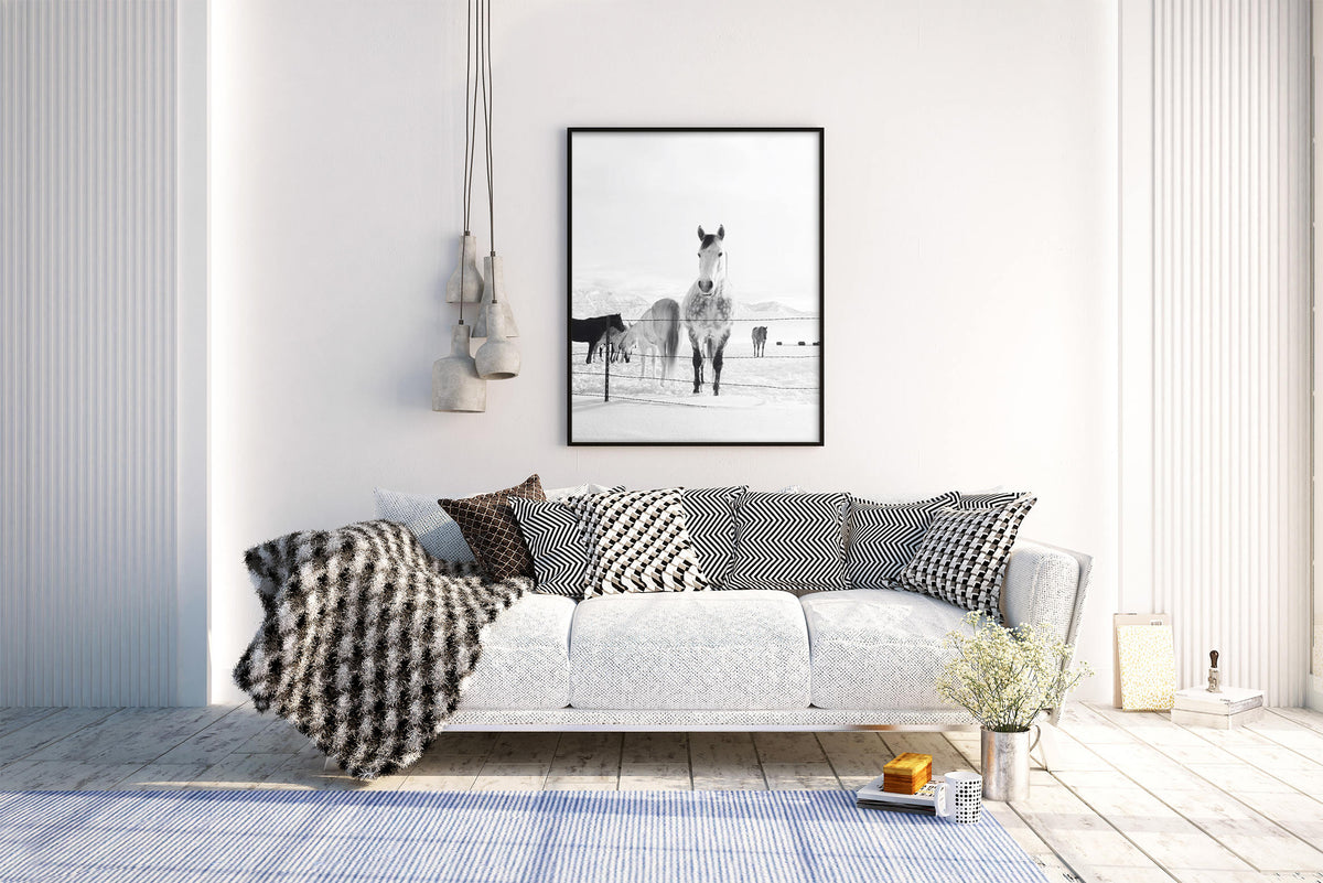 Winter Horses