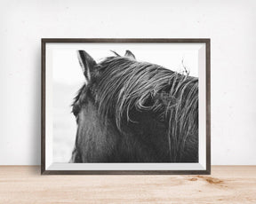 Tangled Mane