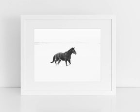 Winter Snow Horse