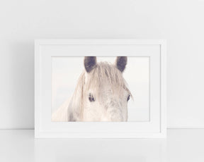 Dreamy Horse Photo