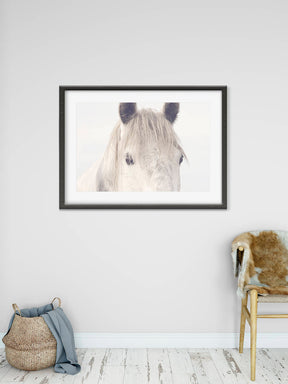 Dreamy Horse Photo