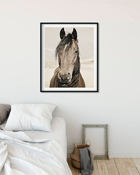 Desert Horse Portrait