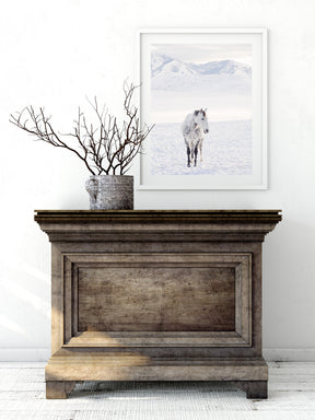 Winter Horse Photograph